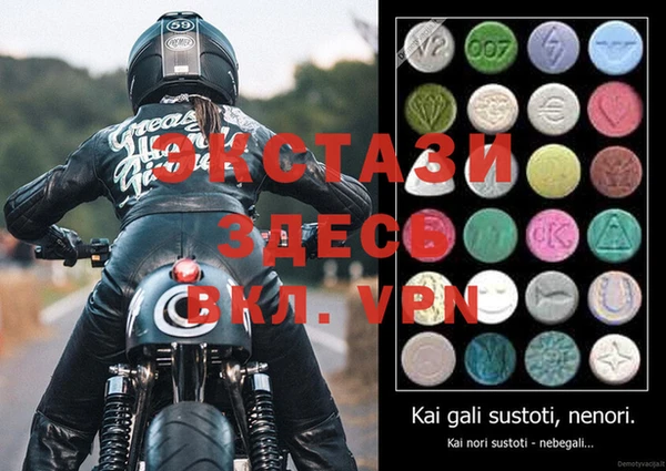 стаф Ельня