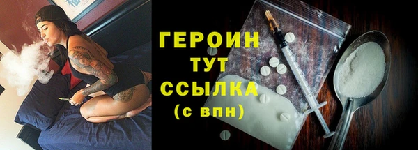 стаф Ельня