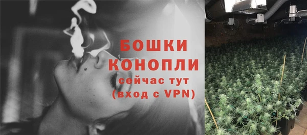 ПСИЛОЦИБИНОВЫЕ ГРИБЫ Елабуга