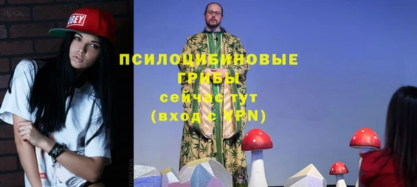 стаф Ельня