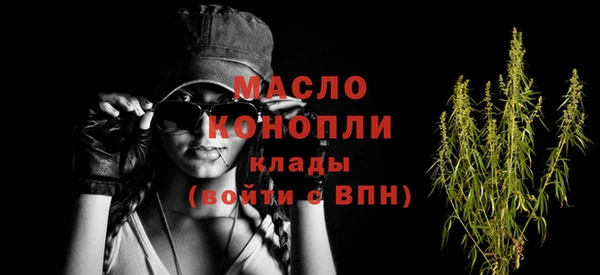 стаф Ельня