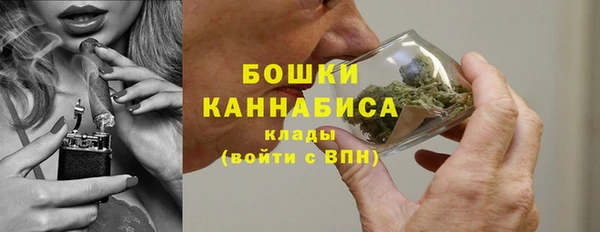 ПСИЛОЦИБИНОВЫЕ ГРИБЫ Елабуга