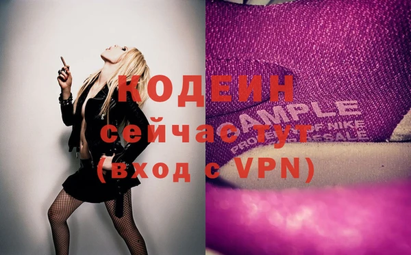 стаф Ельня