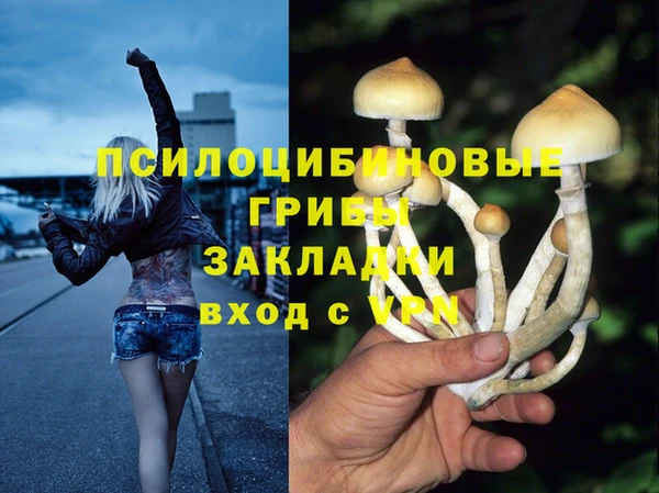 шишки Дмитриев