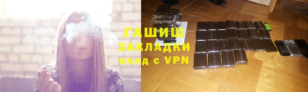 стаф Ельня