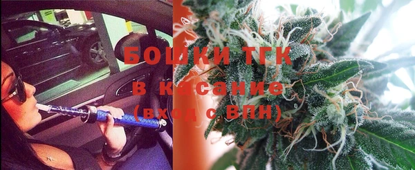 шишки Дмитриев