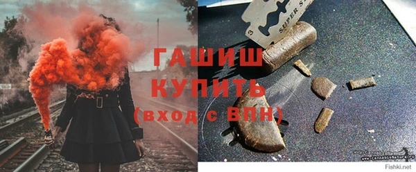 шишки Дмитриев
