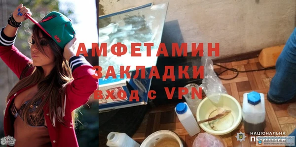 стаф Ельня
