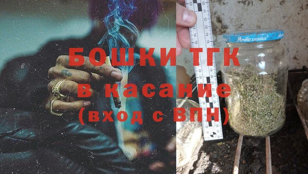 стаф Ельня