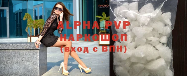 стаф Ельня